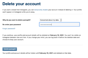 Delete your account form with password field